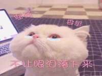 沈阳惠洱通健康管理有限公司