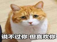 沈阳惠洱通健康管理有限公司