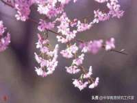 沈阳惠洱通健康管理有限公司