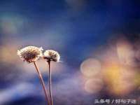 沈阳惠洱通健康管理有限公司