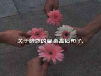 沈阳惠洱通健康管理有限公司