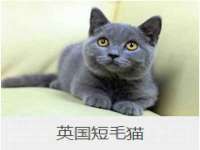 沈阳惠洱通健康管理有限公司