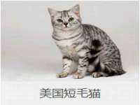 沈阳惠洱通健康管理有限公司
