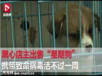 沈阳惠洱通健康管理有限公司