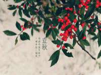 沈阳惠洱通健康管理有限公司