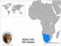 沈阳惠洱通健康管理有限公司