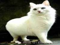 沈阳惠洱通健康管理有限公司