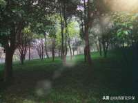 沈阳惠洱通健康管理有限公司