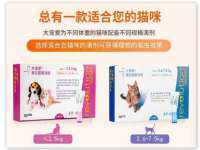 沈阳惠洱通健康管理有限公司