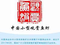 沈阳惠洱通健康管理有限公司