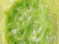 沈阳惠洱通健康管理有限公司