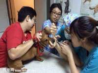 沈阳惠洱通健康管理有限公司