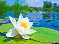 沈阳惠洱通健康管理有限公司