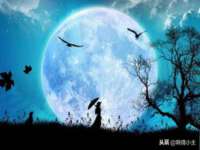 沈阳惠洱通健康管理有限公司