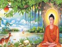 沈阳惠洱通健康管理有限公司