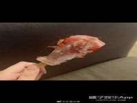 沈阳惠洱通健康管理有限公司